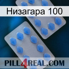 Низагара 100 20